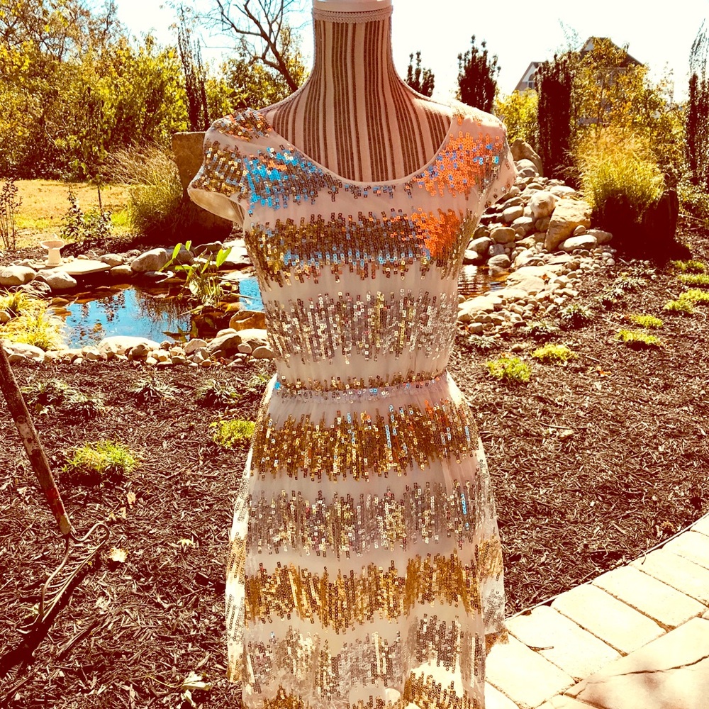 Sparkle Dress